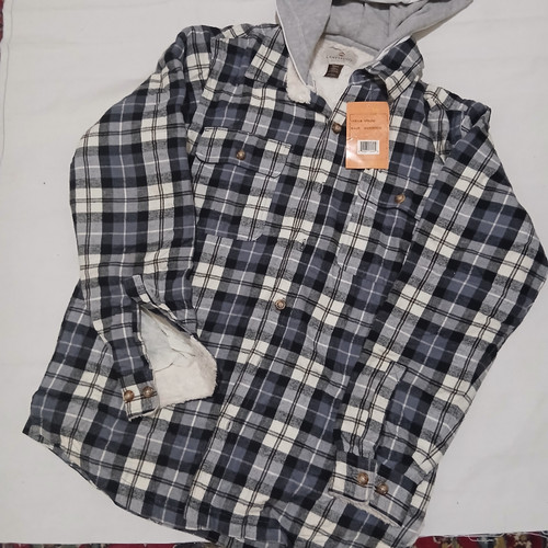 استر خز ، تدی